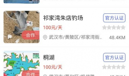 91直播江湖钓鱼,揭秘钓鱼高手们的神秘世界